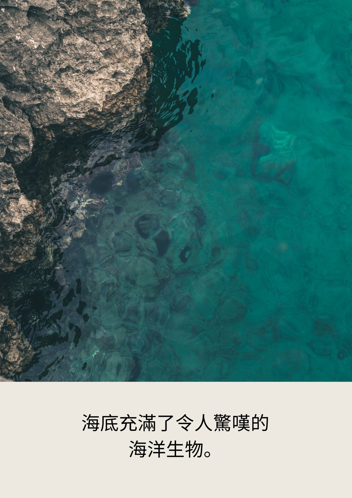 海洋潜水 潜行海洋