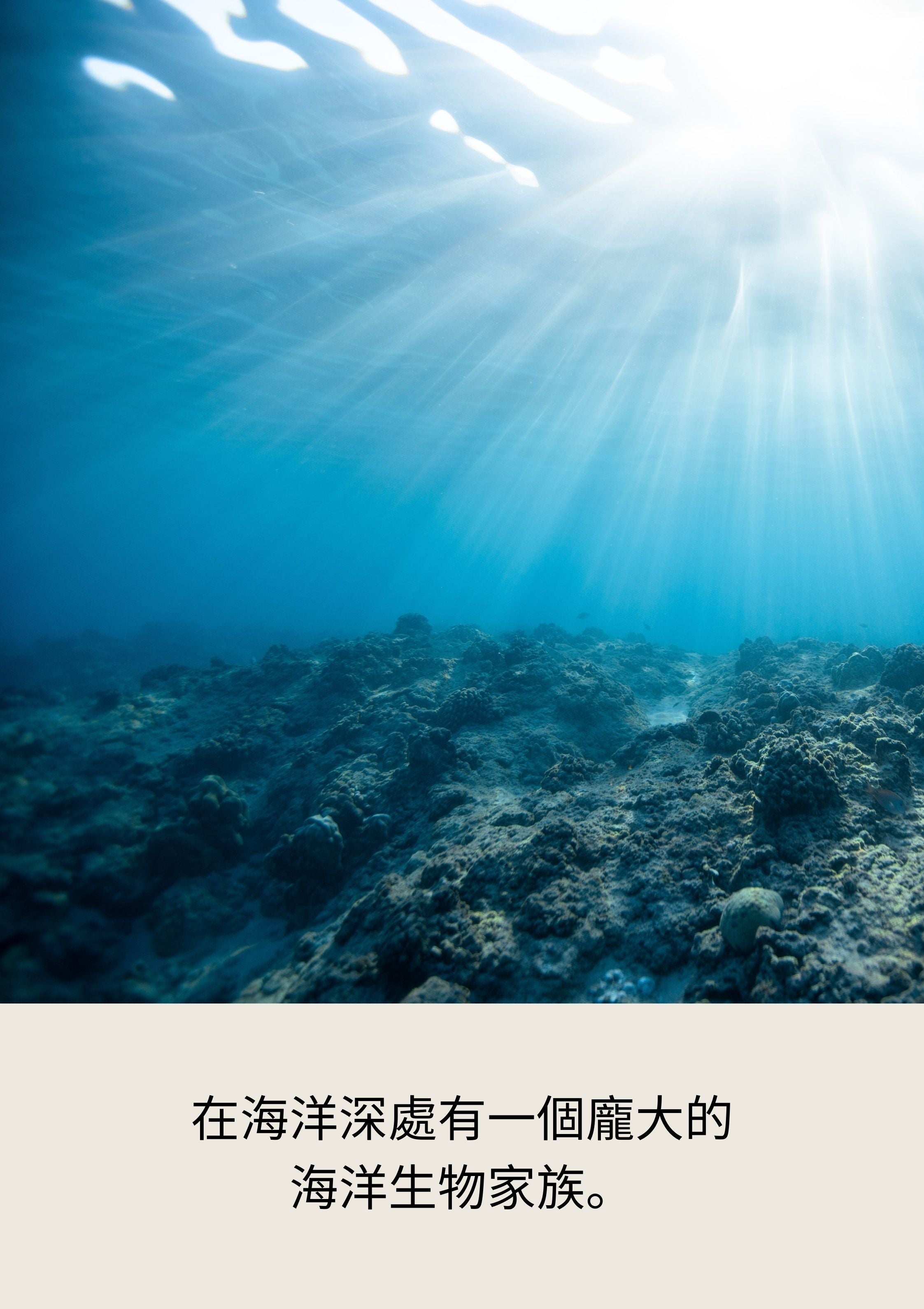 海洋潜水 潜行海洋