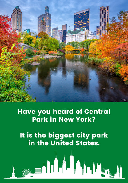 A Picnic In Central Park